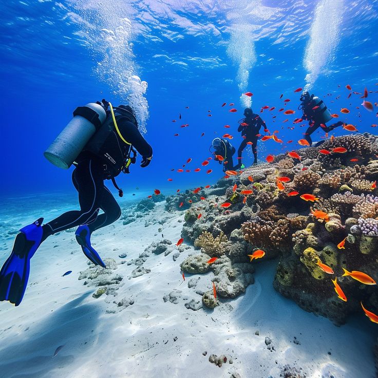 Underwater Diving Adventure